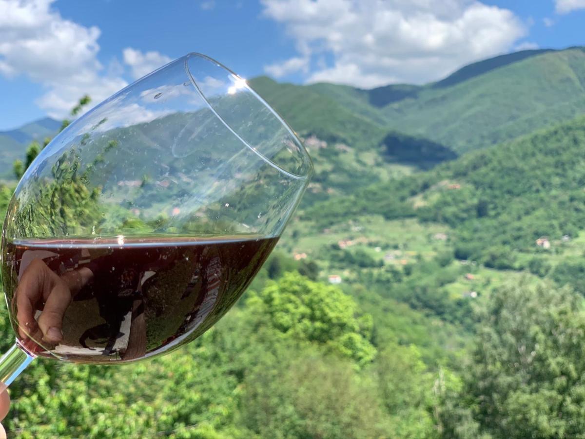 Casa Emma Fiattone In Garfagnana Villa Eksteriør bilde